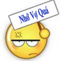 BuonQua nho vo wa